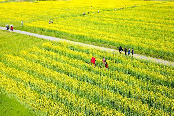 這“夏”一同趣玩  抖音游戲夏天環(huán)行記熾熱敞開