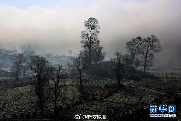 有一個小白人走路通關(guān)的游戲引薦 變身火柴人