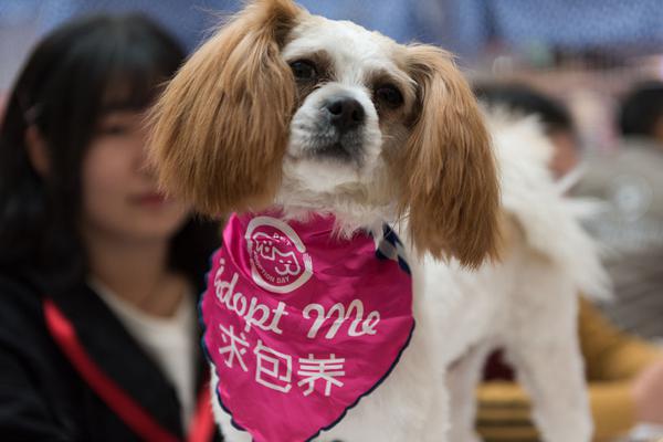 杜歐小庫里均砍20+ 恩比德力不從心不敵籃網(wǎng) 哈登發(fā)揮欠安