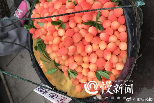 聯想FM365.com網站域名外流90天后合浦還珠