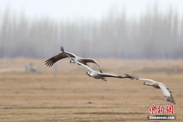 局面一個城堡然后建造的游戲引薦 建造自己的城堡