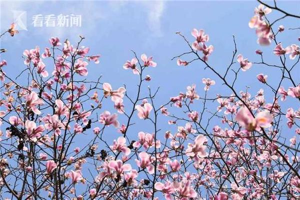 2023年好玩的小內(nèi)存休閑游戲引薦 點開即玩無需下載
