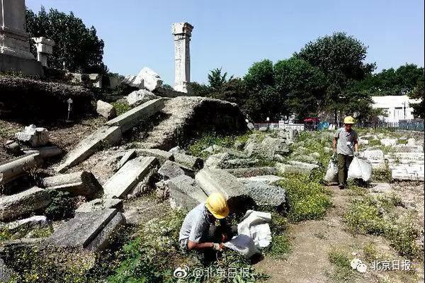 2023年好玩的沙盤戰(zhàn)略手游引薦 保護(hù)好自己的領(lǐng)地