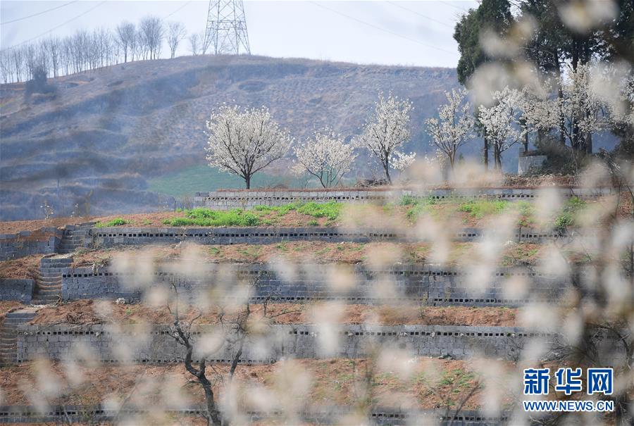 首例網游跨國案開打：我國“傳奇”涉嫌抄襲
