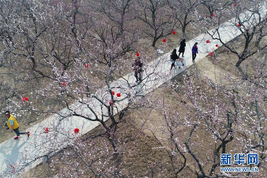 微軟方案于3月24日發(fā)布“語音服務器2004”