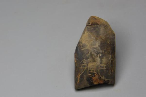 護(hù)衛(wèi)基地晉級的塔防攻略游戲引薦 塔防戰(zhàn)略