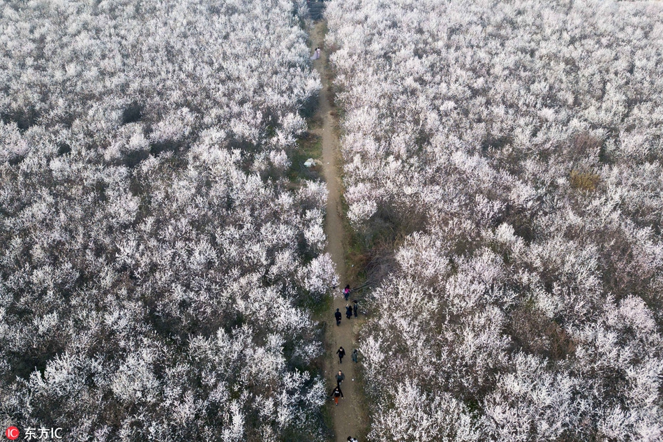 不斷的技術創(chuàng)新，UC領跑2004年即時消息