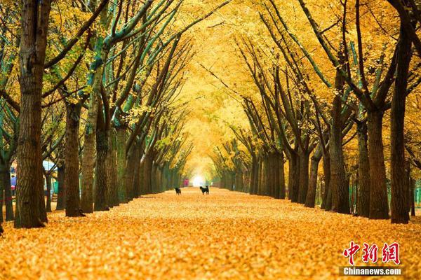 大廠發(fā)布未成年人“暑期限玩令”，騰訊游戲人臉辨認(rèn)護(hù)航