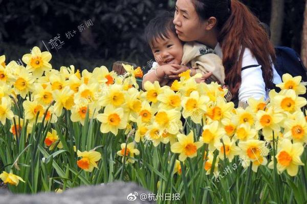 德轉(zhuǎn)顯示國安后衛(wèi)江文豪已租借加盟亞泰，租期至今年12月31日