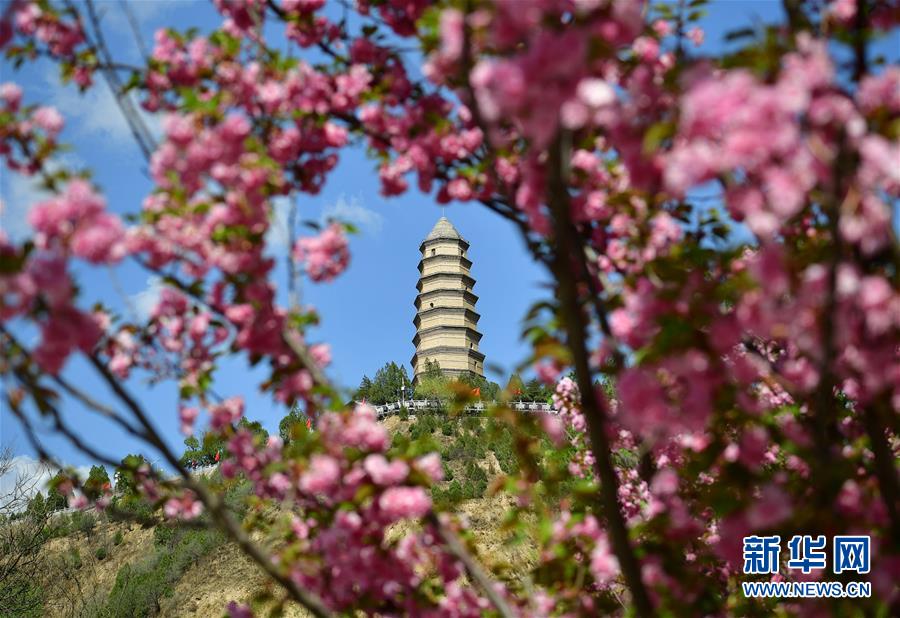 《長安夢想》又又又搞事啦!新款秀恩愛方法你學(xué)會了嗎?