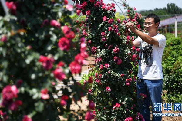 這“夏”一同趣玩  抖音游戲夏天環(huán)行記熾熱敞開