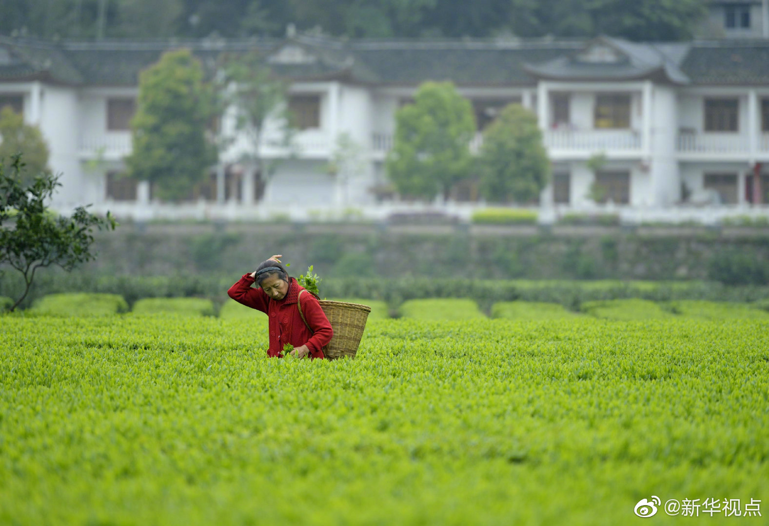 2023年好玩的戰(zhàn)略卡牌類游戲引薦 搜集英豪戰(zhàn)役