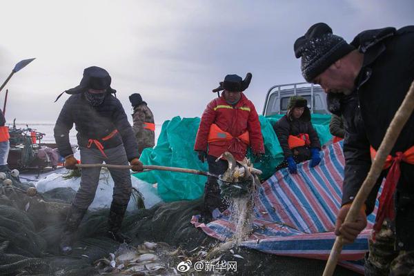 微軟加強Longhorn維護 用戶免受安全要挾