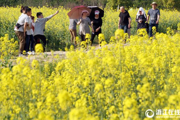 兩起《原神》外掛案子接連破獲， 多名犯罪嫌疑人被抓捕歸案