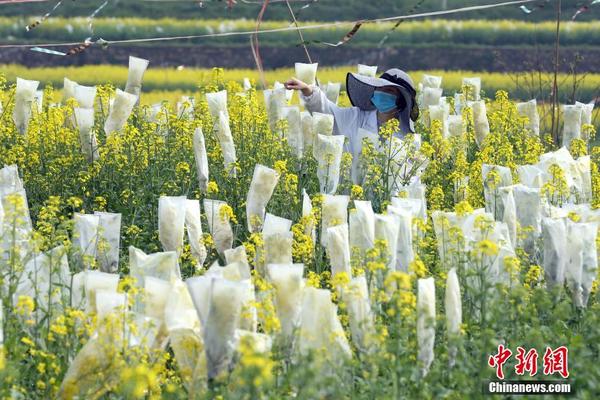 阿斯報：里爾想7000萬歐出售約羅，皇馬只愿意出4000萬歐
